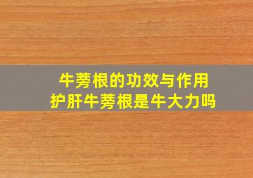 牛蒡根的功效与作用护肝牛蒡根是牛大力吗