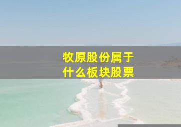 牧原股份属于什么板块股票