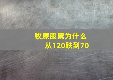 牧原股票为什么从120跌到70