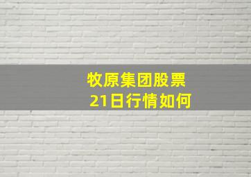 牧原集团股票21日行情如何