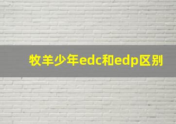 牧羊少年edc和edp区别