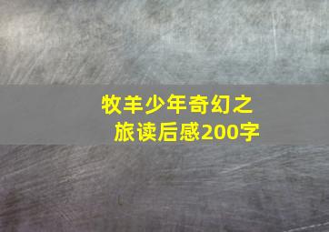 牧羊少年奇幻之旅读后感200字