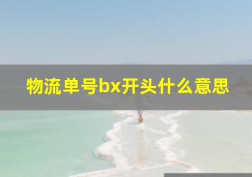 物流单号bx开头什么意思