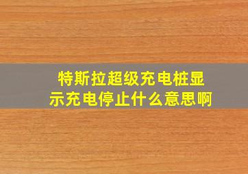 特斯拉超级充电桩显示充电停止什么意思啊