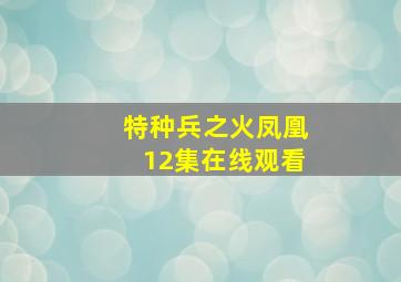 特种兵之火凤凰12集在线观看