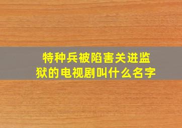 特种兵被陷害关进监狱的电视剧叫什么名字