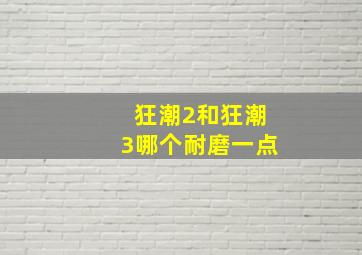 狂潮2和狂潮3哪个耐磨一点