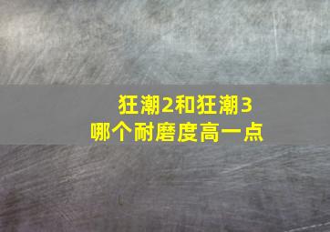 狂潮2和狂潮3哪个耐磨度高一点