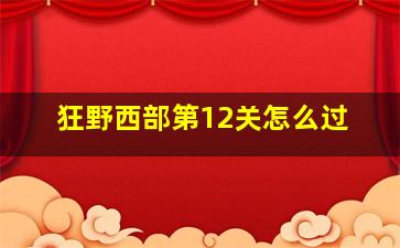 狂野西部第12关怎么过