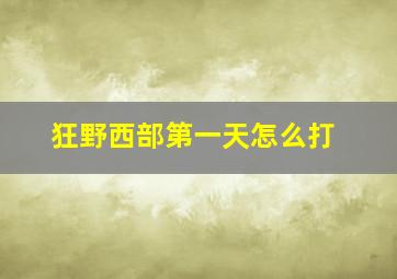 狂野西部第一天怎么打