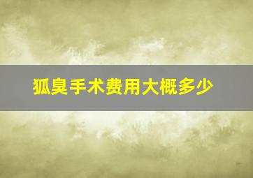 狐臭手术费用大概多少