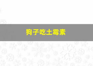 狗子吃土霉素