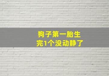 狗子第一胎生完1个没动静了