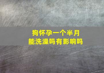 狗怀孕一个半月能洗澡吗有影响吗