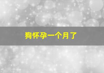 狗怀孕一个月了