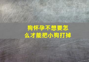 狗怀孕不想要怎么才能把小狗打掉