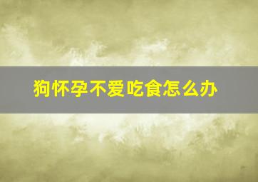 狗怀孕不爱吃食怎么办