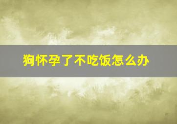 狗怀孕了不吃饭怎么办