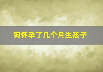 狗怀孕了几个月生孩子