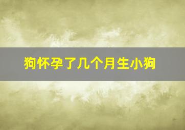 狗怀孕了几个月生小狗