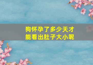 狗怀孕了多少天才能看出肚子大小呢