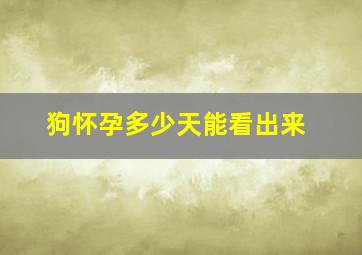 狗怀孕多少天能看出来