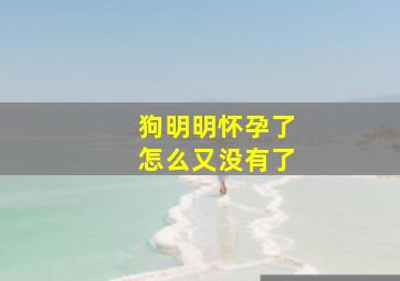 狗明明怀孕了怎么又没有了