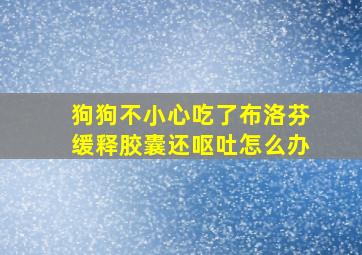 狗狗不小心吃了布洛芬缓释胶囊还呕吐怎么办