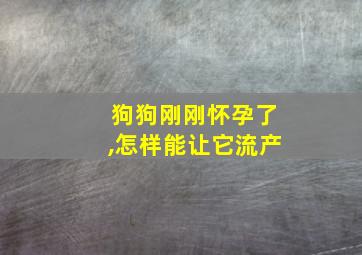 狗狗刚刚怀孕了,怎样能让它流产