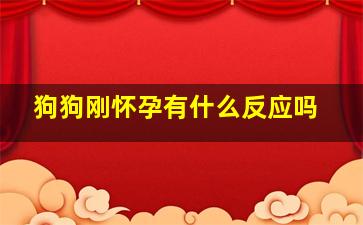 狗狗刚怀孕有什么反应吗