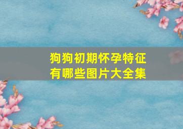 狗狗初期怀孕特征有哪些图片大全集