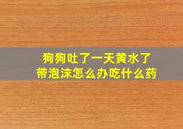 狗狗吐了一天黄水了带泡沫怎么办吃什么药