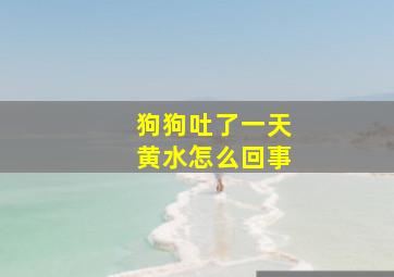 狗狗吐了一天黄水怎么回事