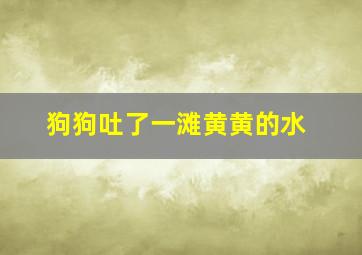 狗狗吐了一滩黄黄的水