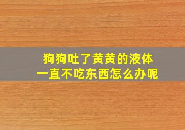 狗狗吐了黄黄的液体一直不吃东西怎么办呢