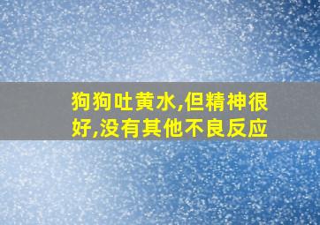 狗狗吐黄水,但精神很好,没有其他不良反应