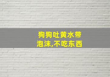 狗狗吐黄水带泡沫,不吃东西