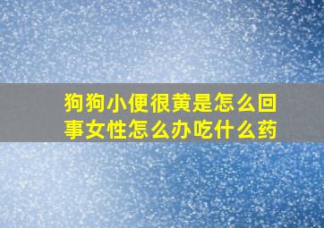 狗狗小便很黄是怎么回事女性怎么办吃什么药