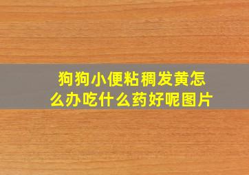 狗狗小便粘稠发黄怎么办吃什么药好呢图片