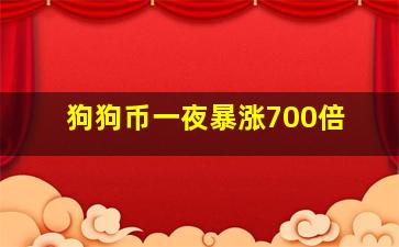 狗狗币一夜暴涨700倍