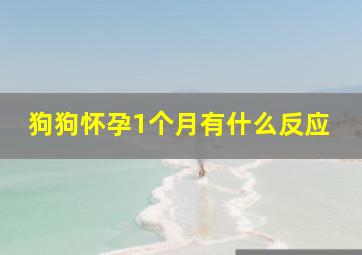 狗狗怀孕1个月有什么反应