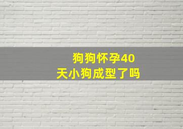 狗狗怀孕40天小狗成型了吗