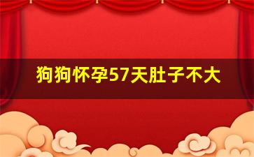 狗狗怀孕57天肚子不大