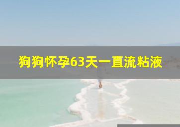 狗狗怀孕63天一直流粘液