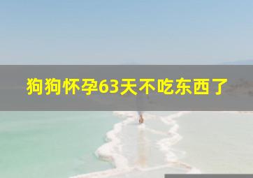 狗狗怀孕63天不吃东西了