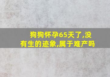 狗狗怀孕65天了,没有生的迹象,属于难产吗