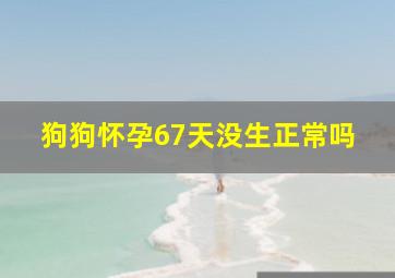 狗狗怀孕67天没生正常吗