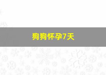 狗狗怀孕7天