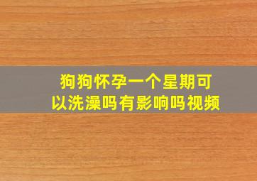 狗狗怀孕一个星期可以洗澡吗有影响吗视频