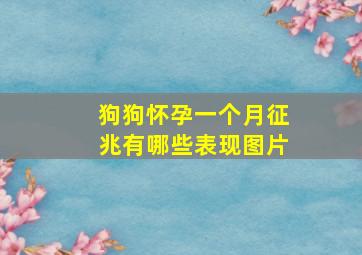 狗狗怀孕一个月征兆有哪些表现图片